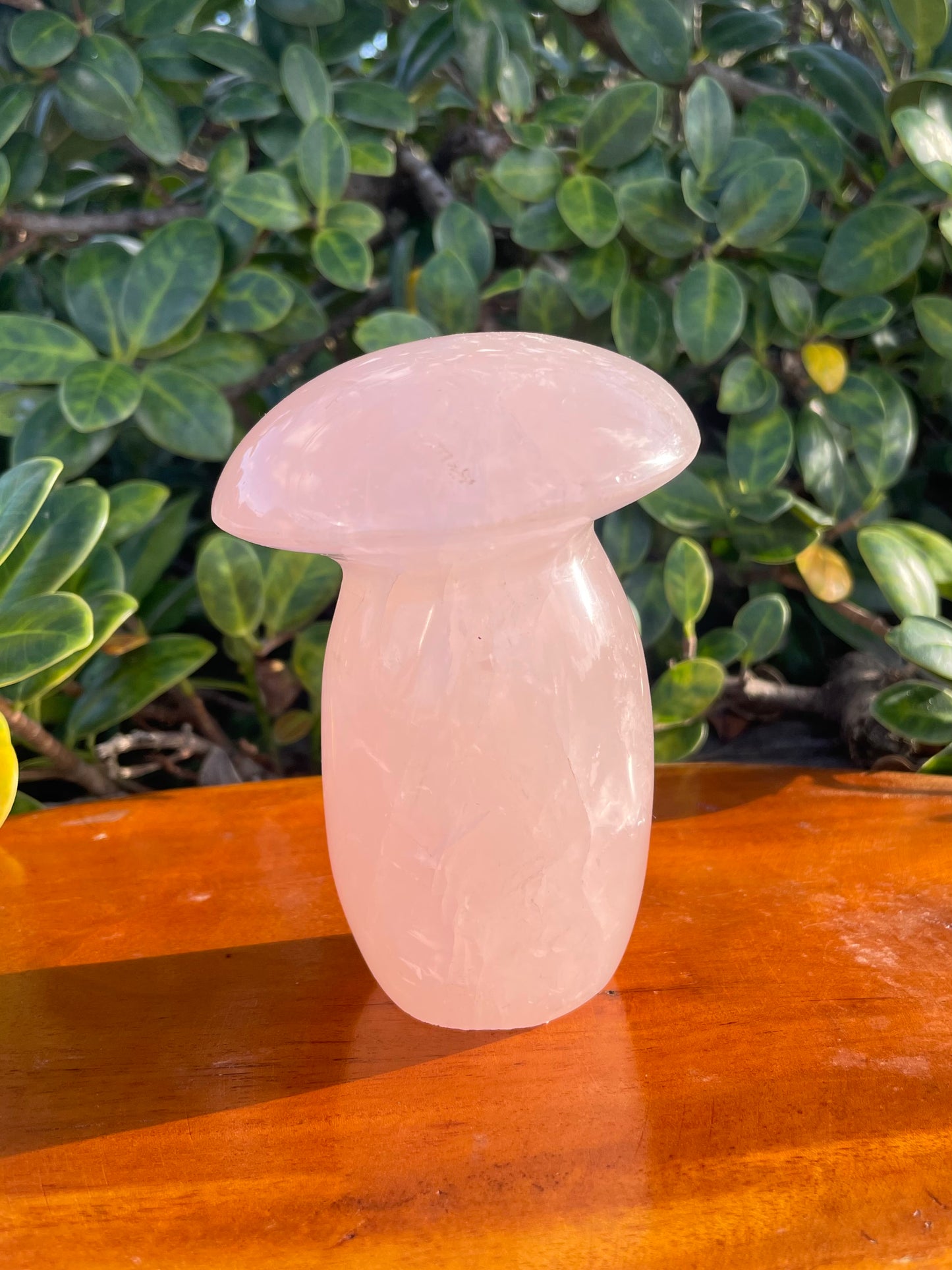 Rose Quartz Mushroom