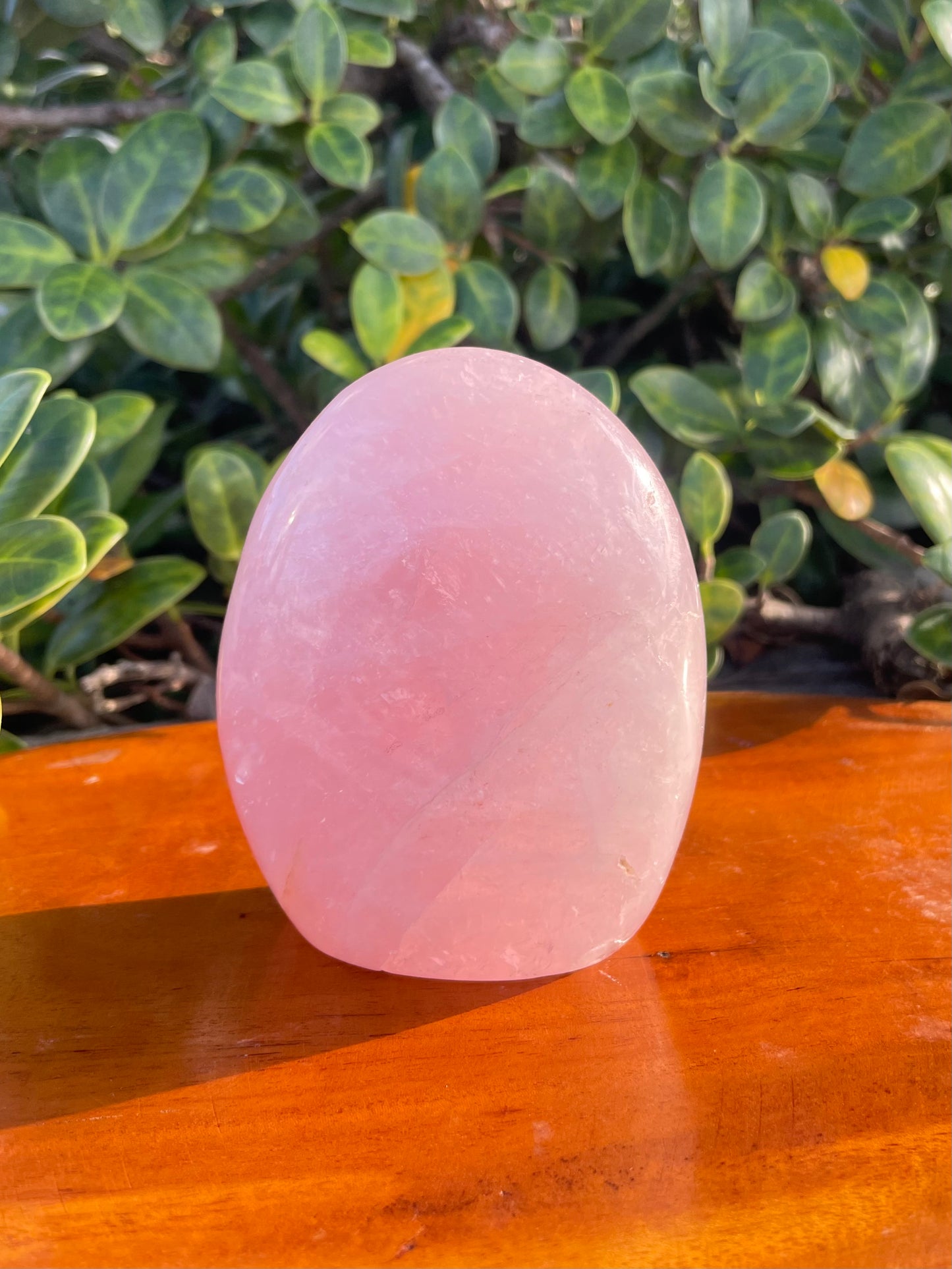 Rose Quartz Freeform