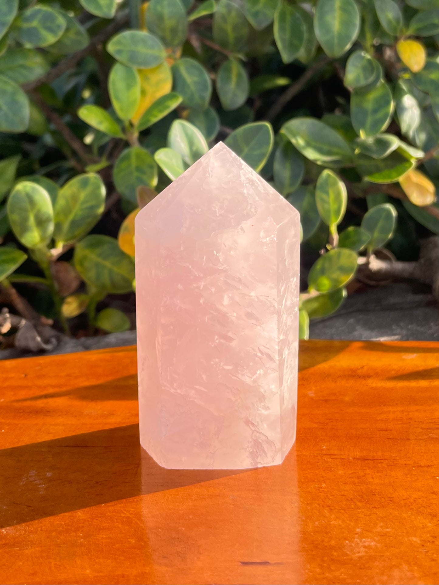 Rose Quartz