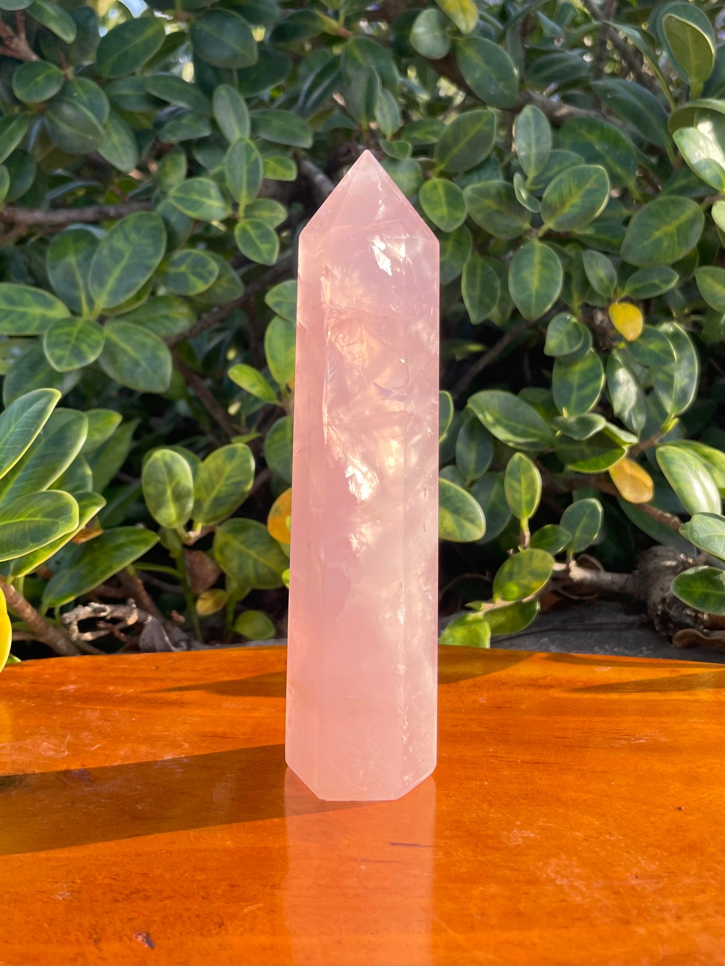 Rose Quartz