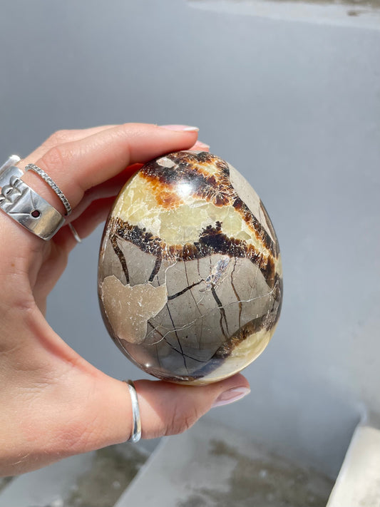 Septarian Egg