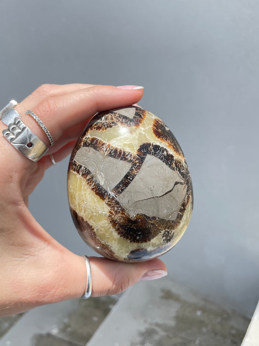 Septarian Egg