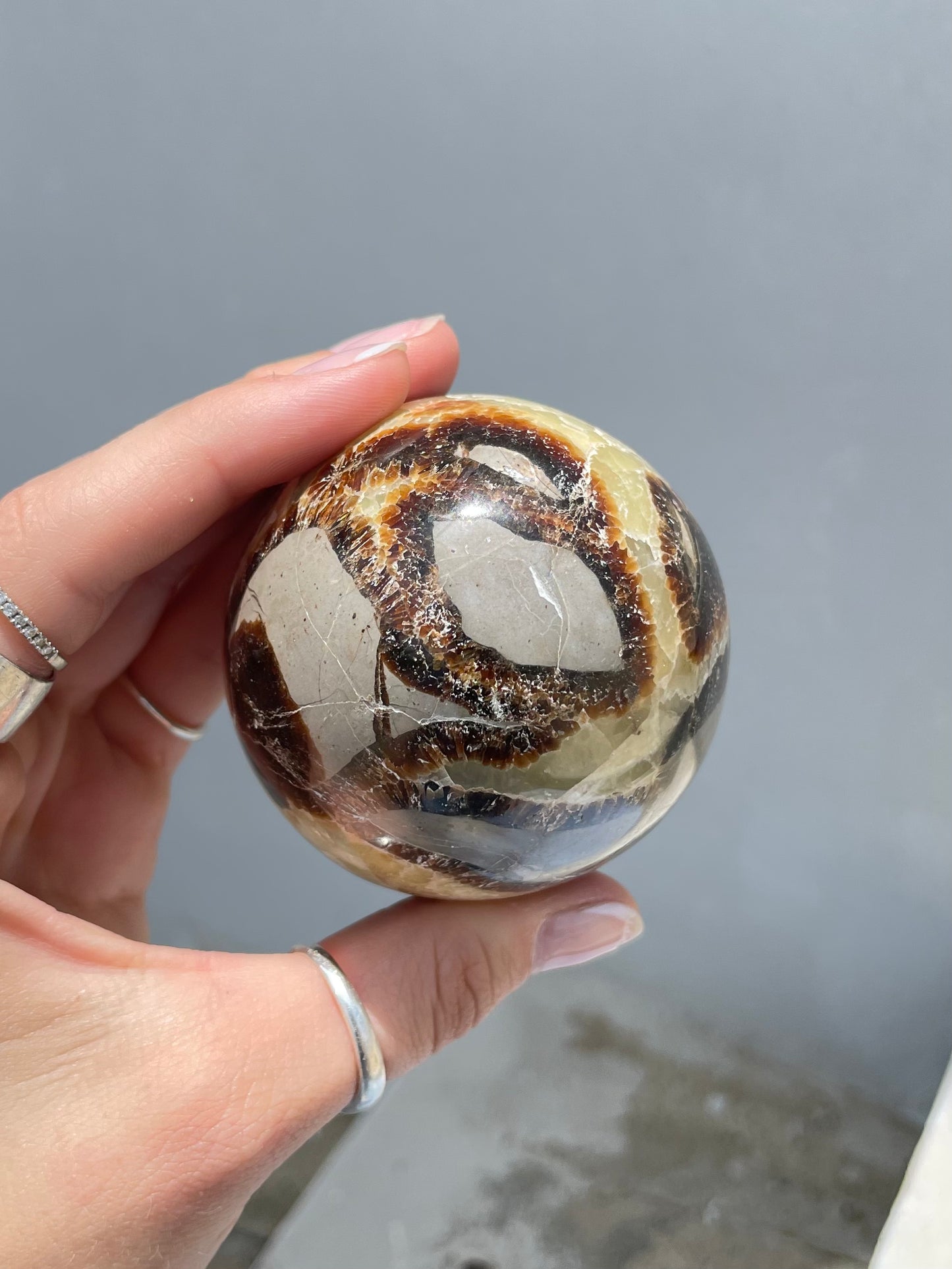 Septarian Egg