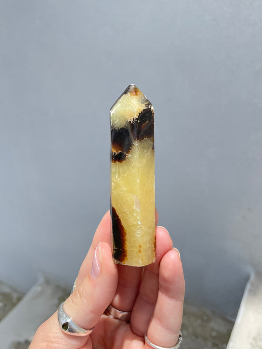 Septarian Point