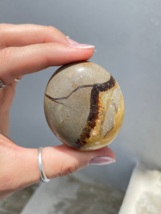 Septarin Palm Stone