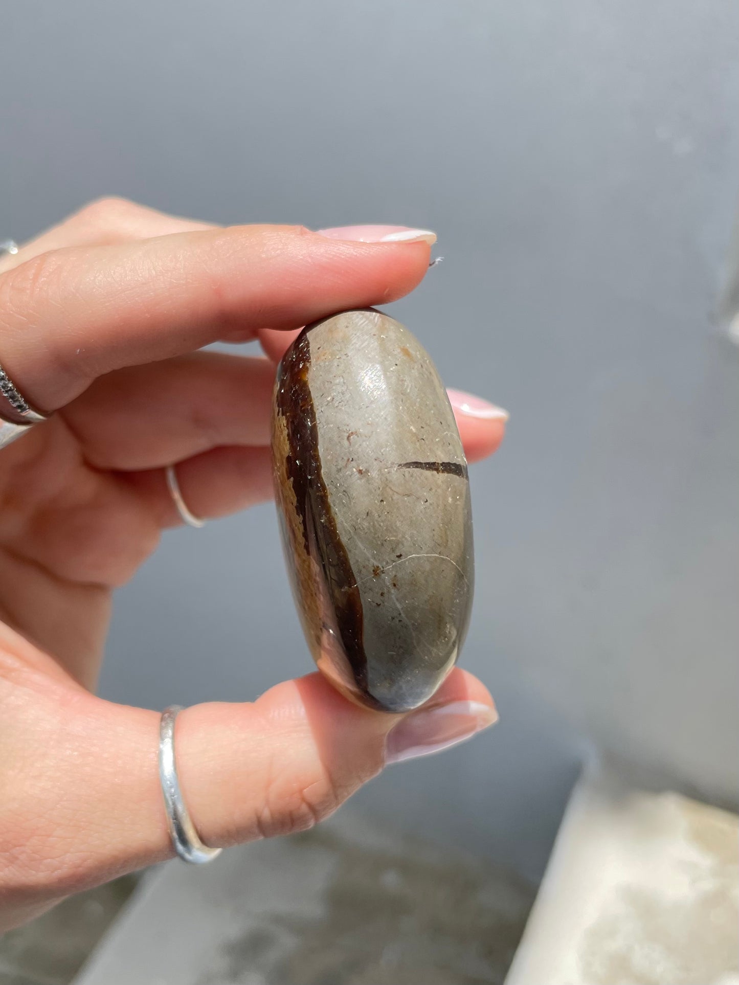 Septarin Palm Stone
