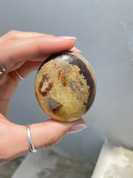 Septarin Palm Stone