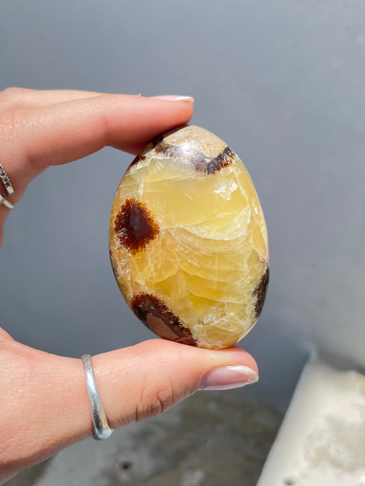 Septarin Palm Stone