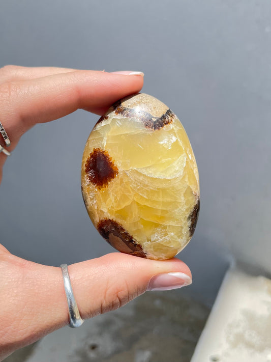 Septarin Palm Stone
