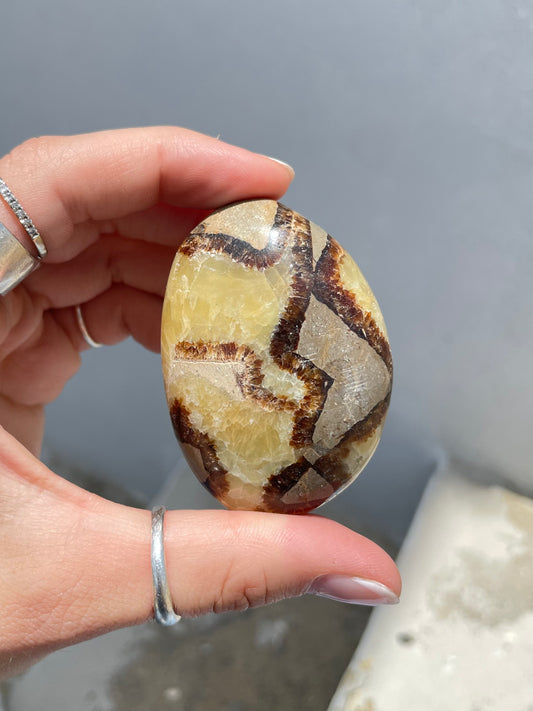 Septarin Palm Stone