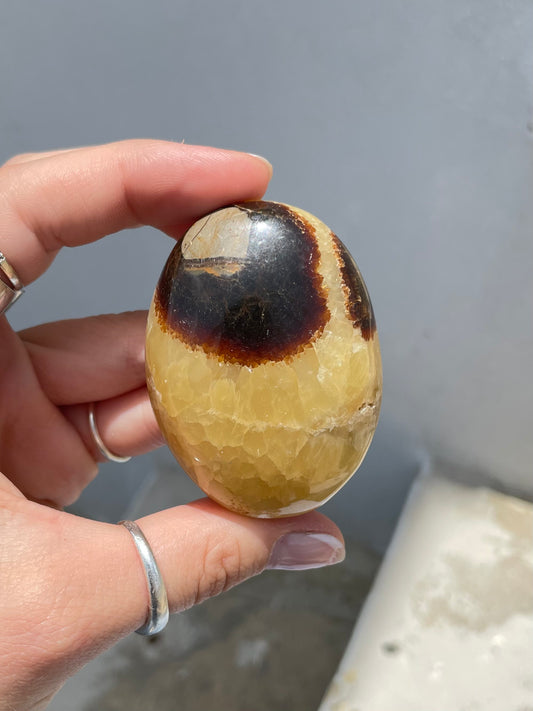 Septarin Palm Stone