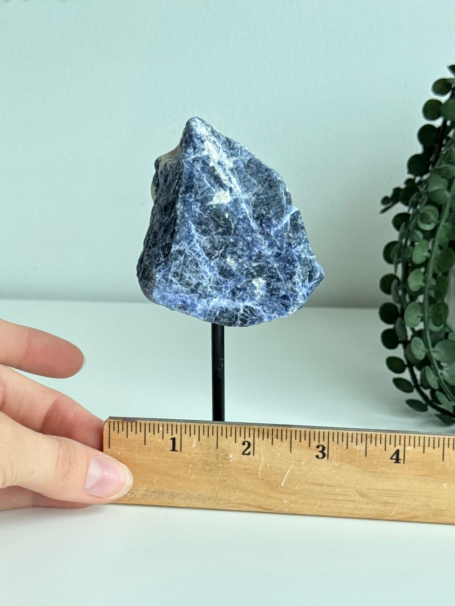 Sodalite on Stand