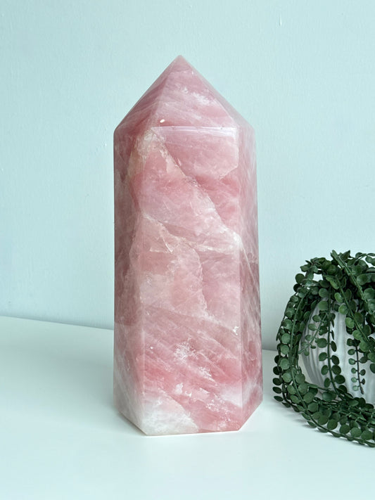 Rose Quartz Point Large - Madagascar