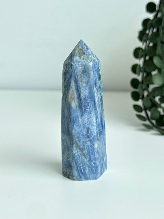 Blue Kyanite Point