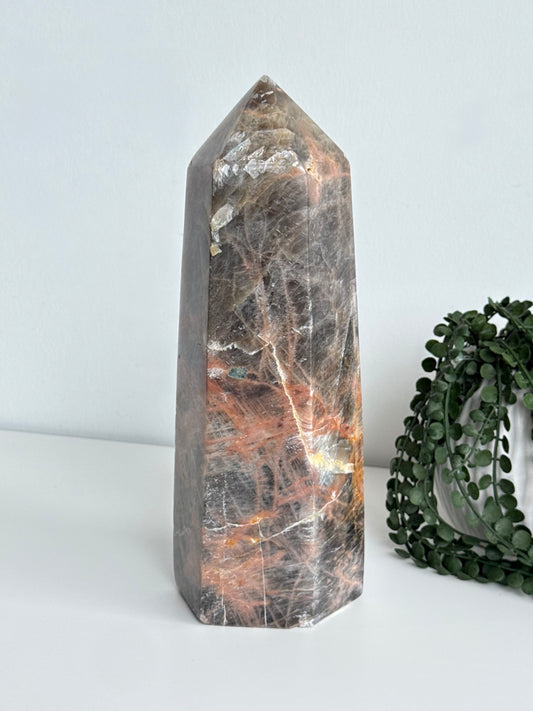 Black/Peach Moonstone Point