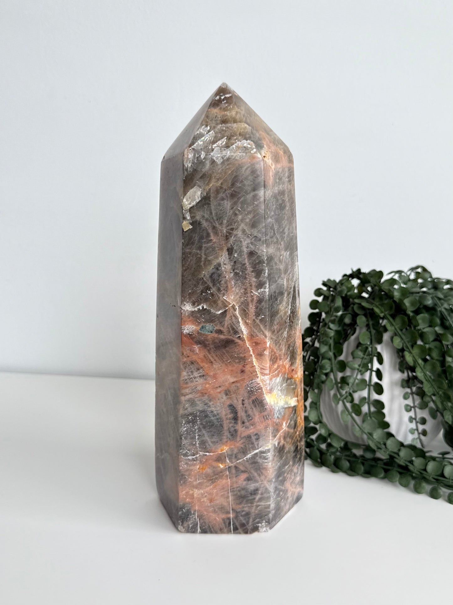 Black/Peach Moonstone Point