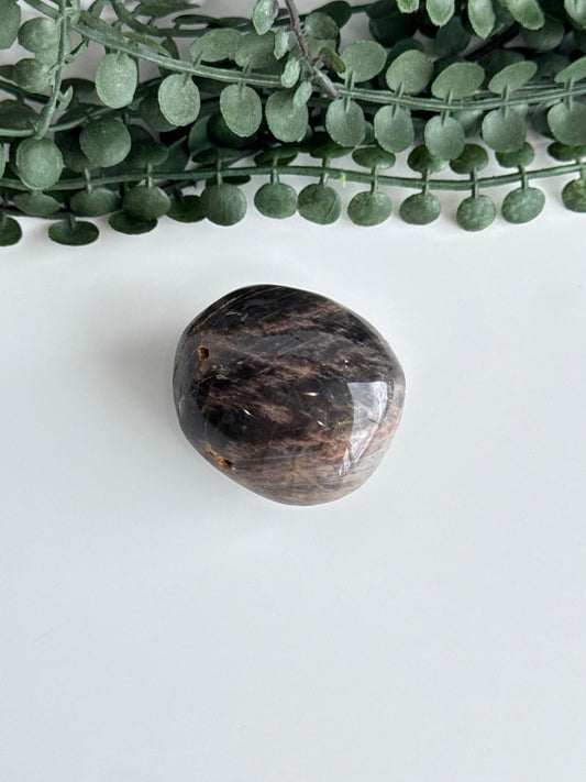 Black Moonstone Palm Stone