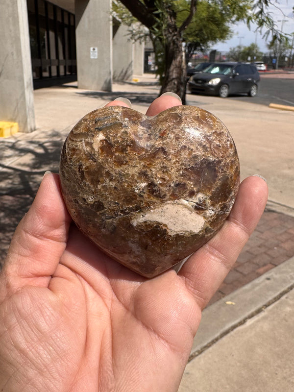 Corazon Madera Petrificada