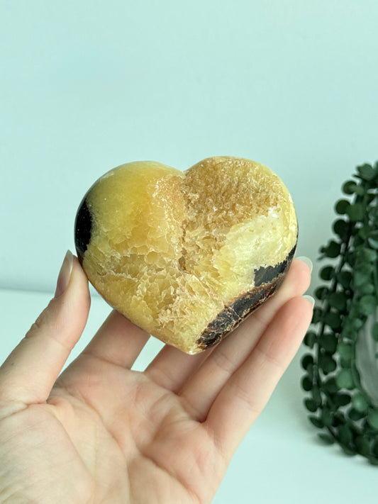 Septarian Heart - Madagascar