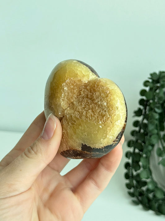 Septarian Heart - Madagascar