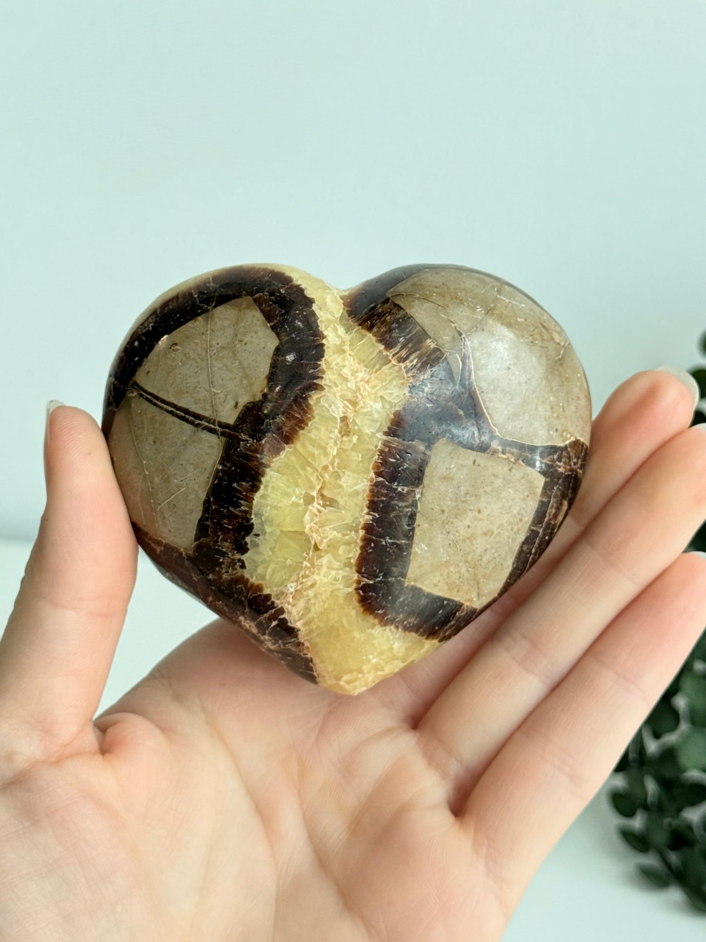Septarian Heart - Madagascar