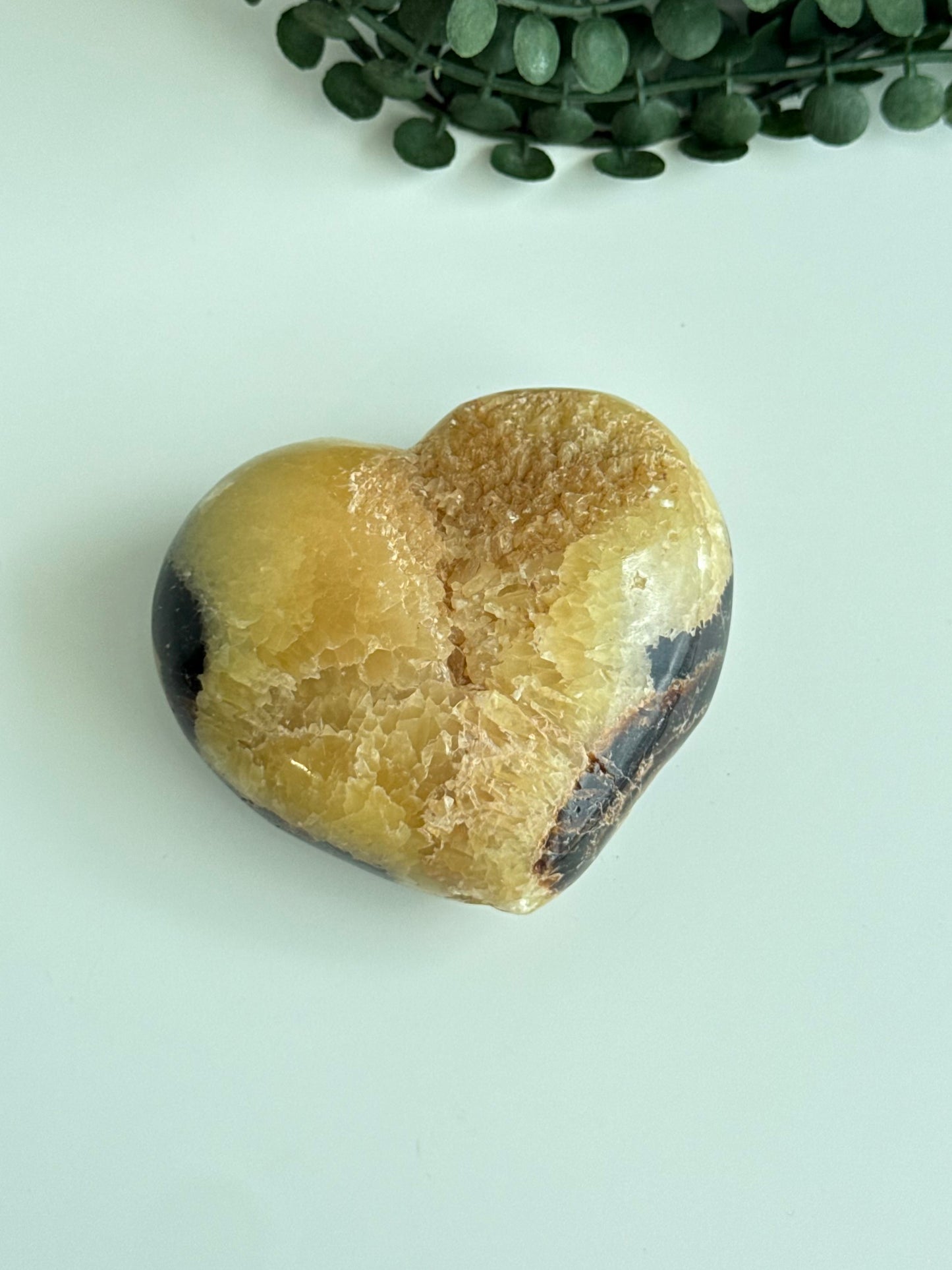 Septarian Heart - Madagascar