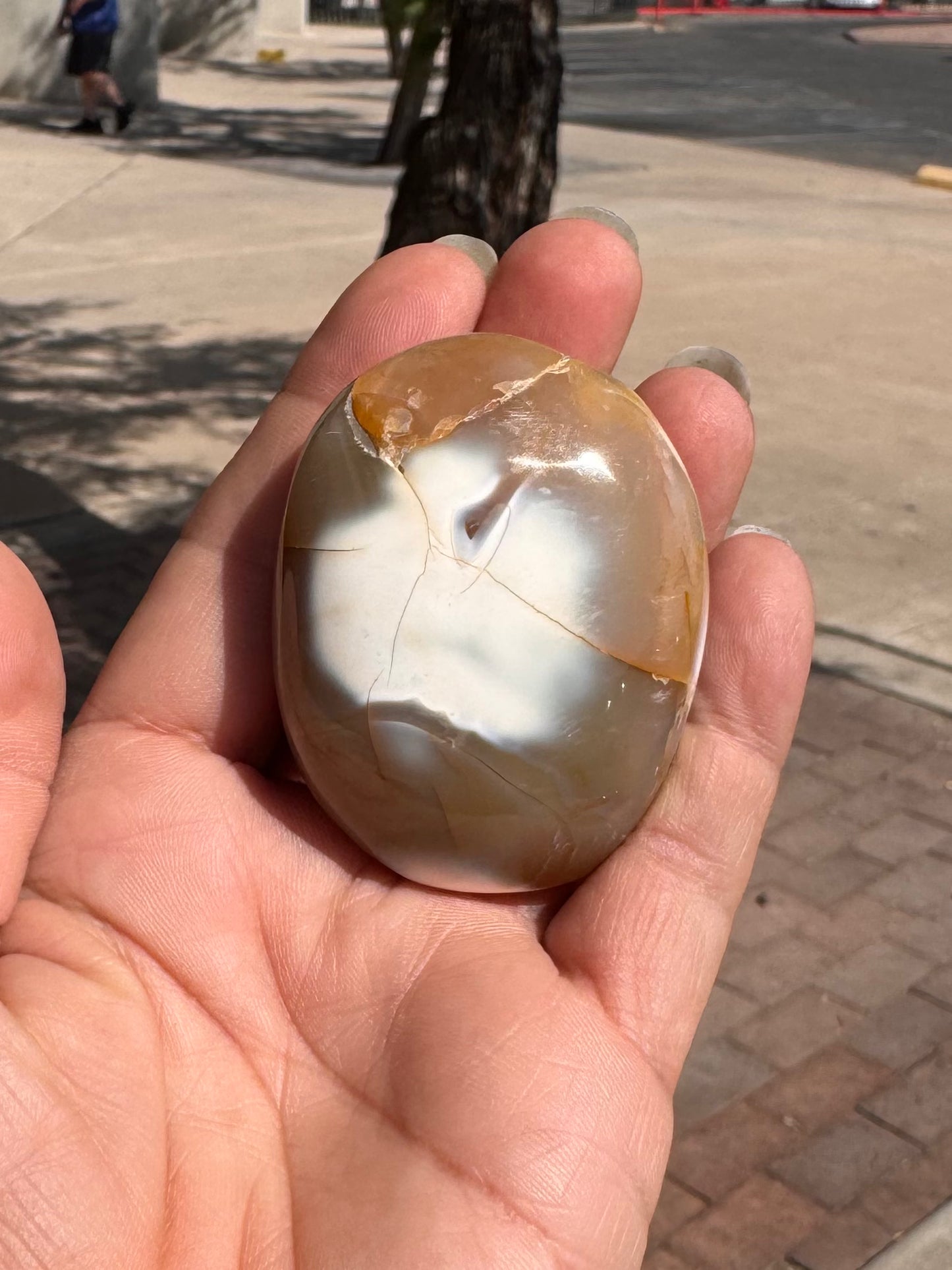 Palm Stone Orca Agate ( Peq. )