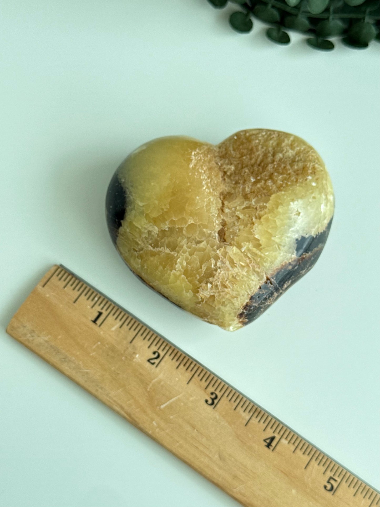 Septarian Heart - Madagascar