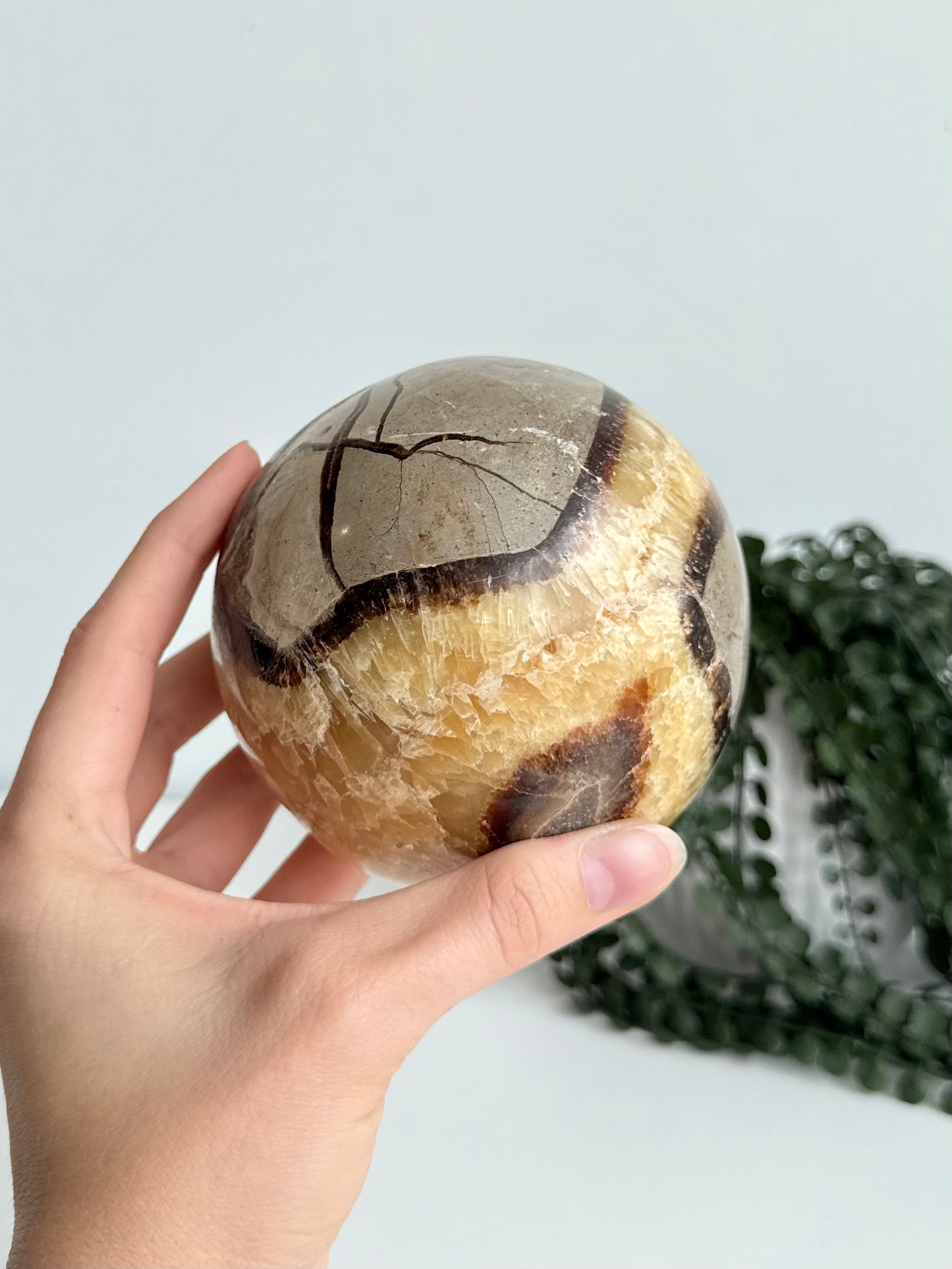 Septarian Sphere