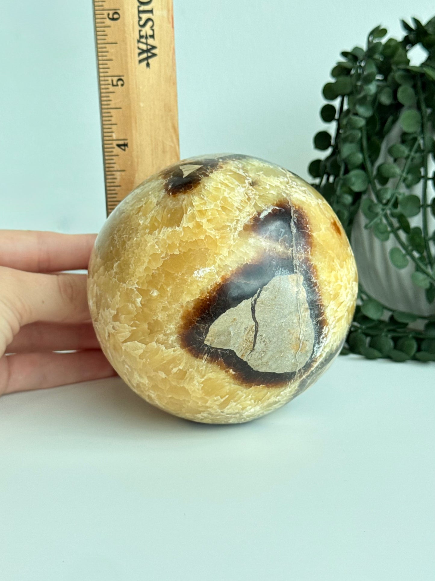 Septarian Sphere
