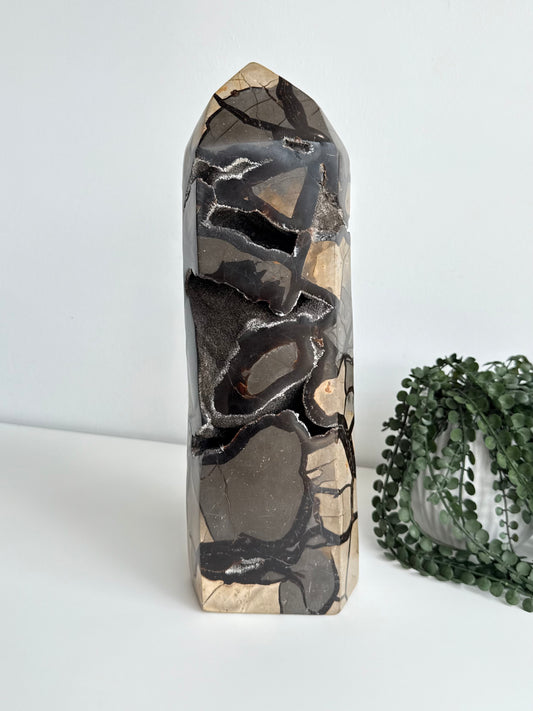 Septarian Point Large - Madagascar