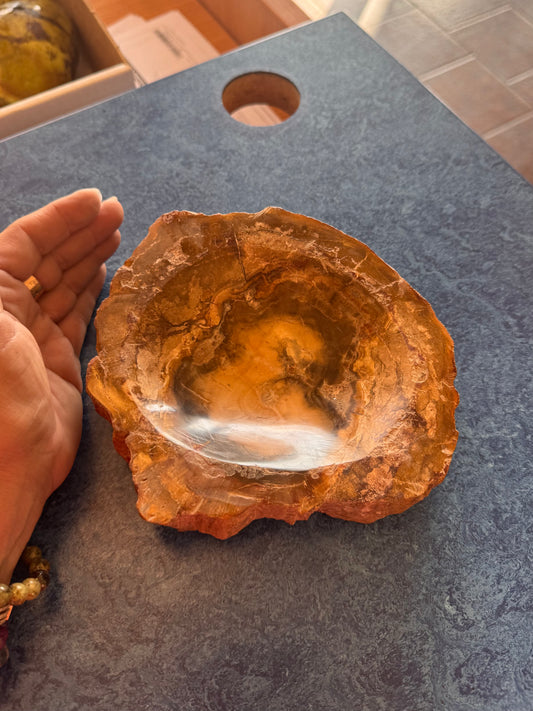 Bowl Madera Petrificada