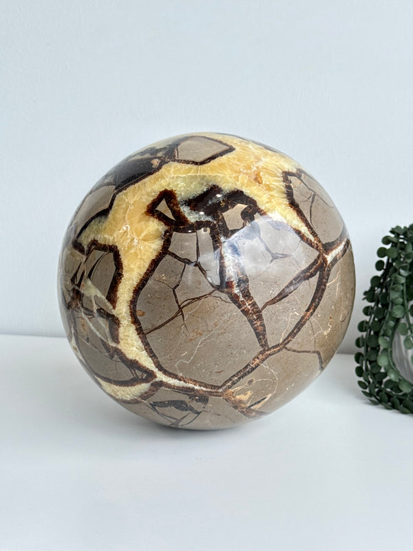 Septarian Sphere