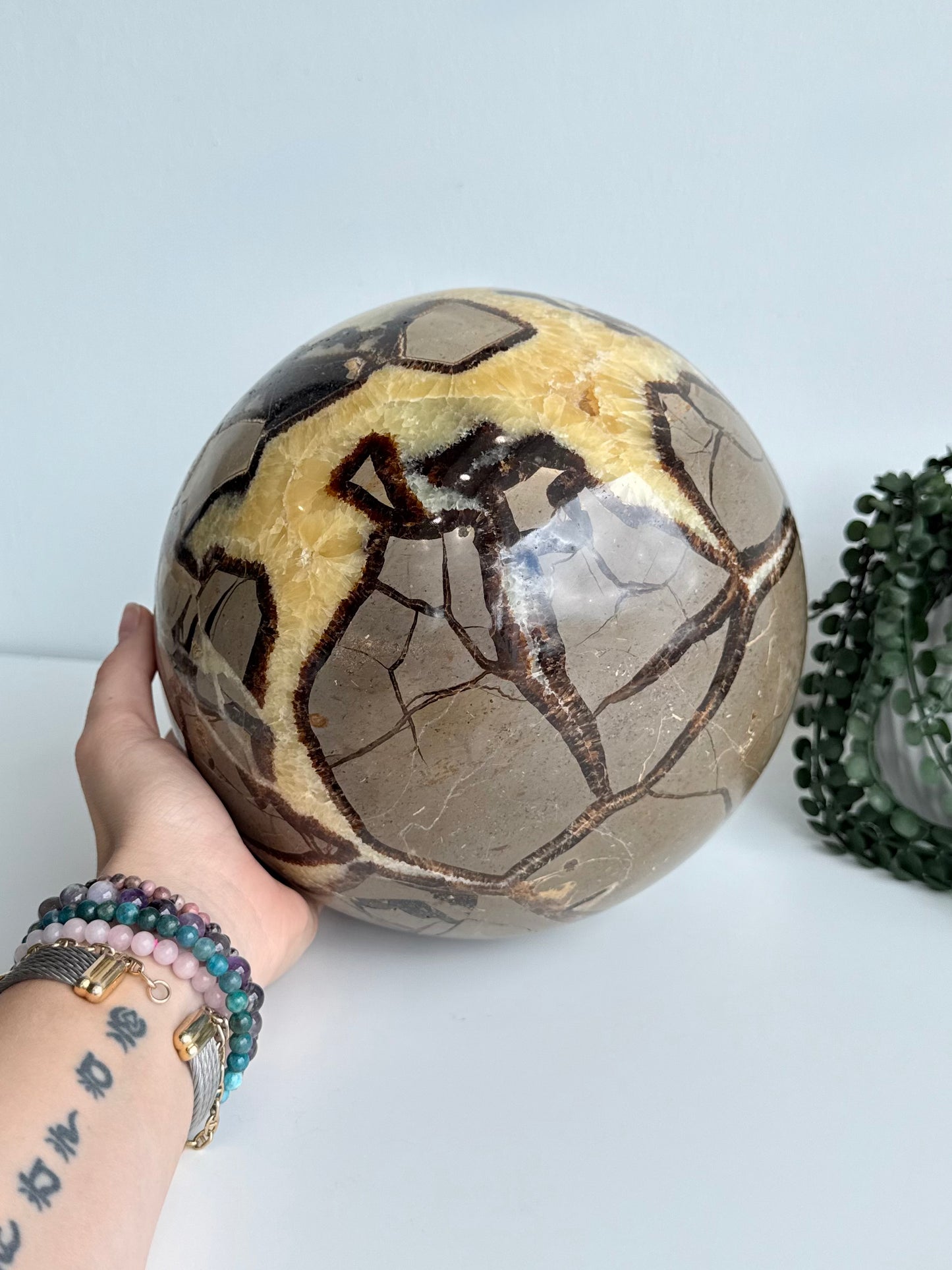 Septarian Sphere