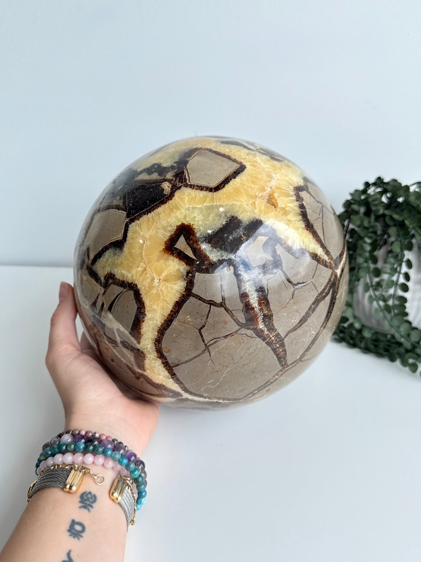 Septarian Sphere