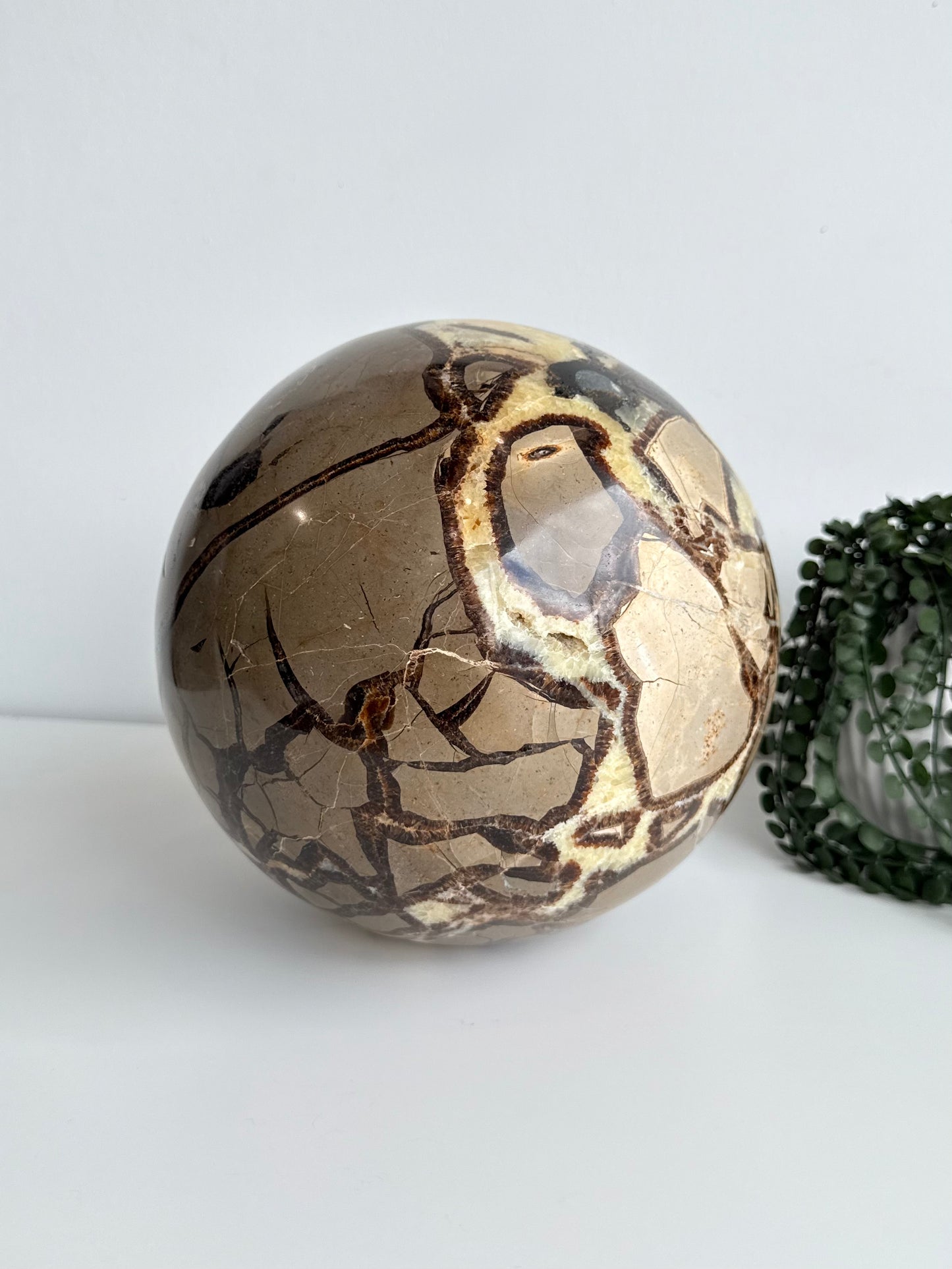 Septarian Sphere
