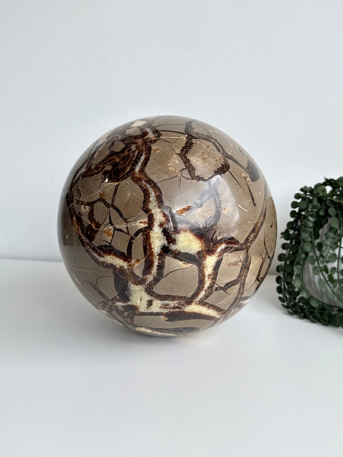Septarian Sphere