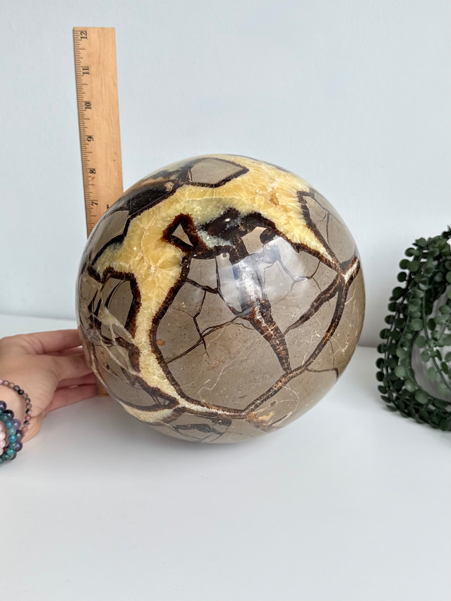 Septarian Sphere
