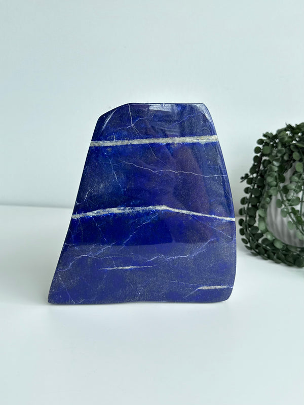 Lapis Lazuli Freeform