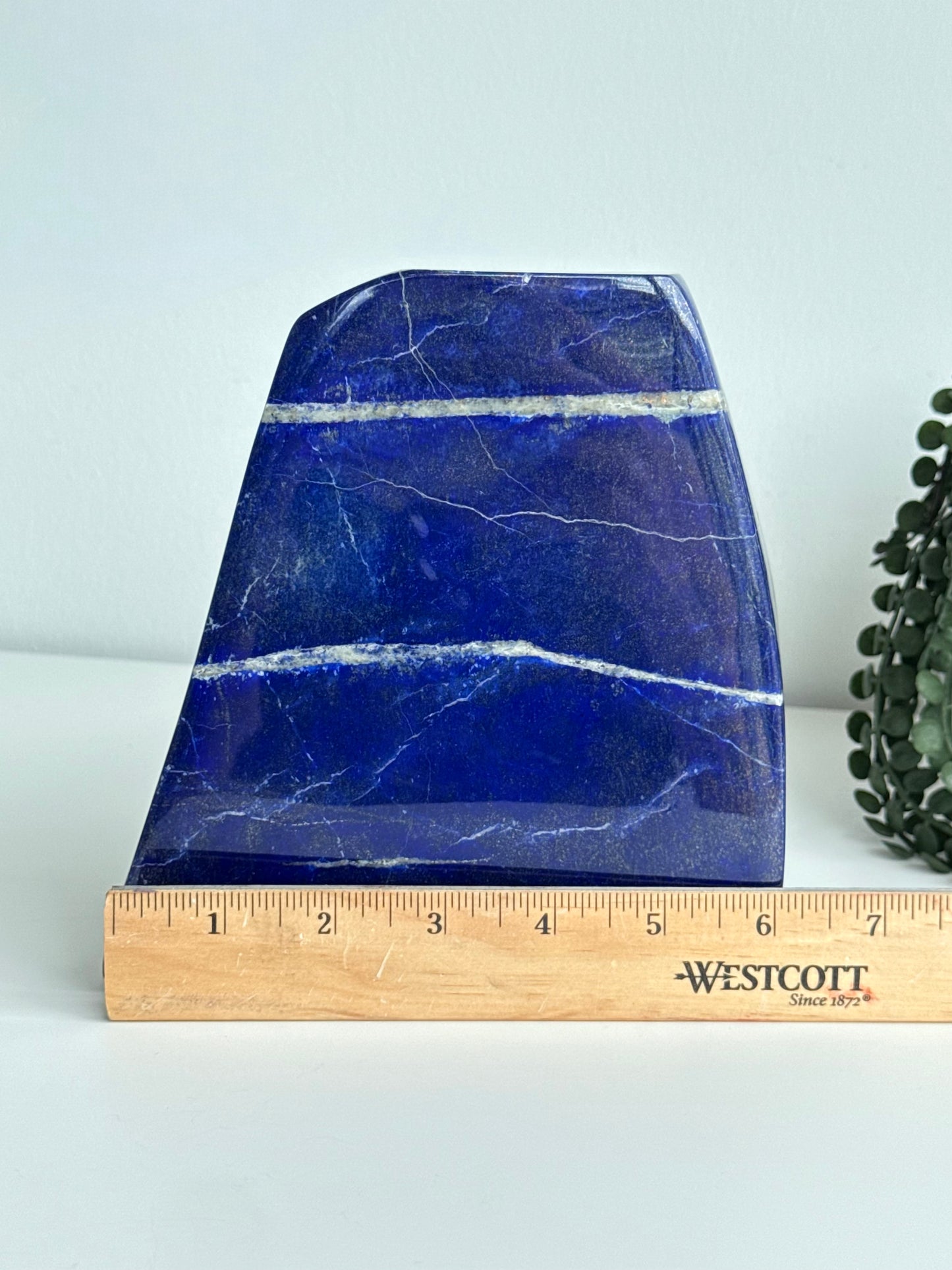 Lapis Lazuli Freeform
