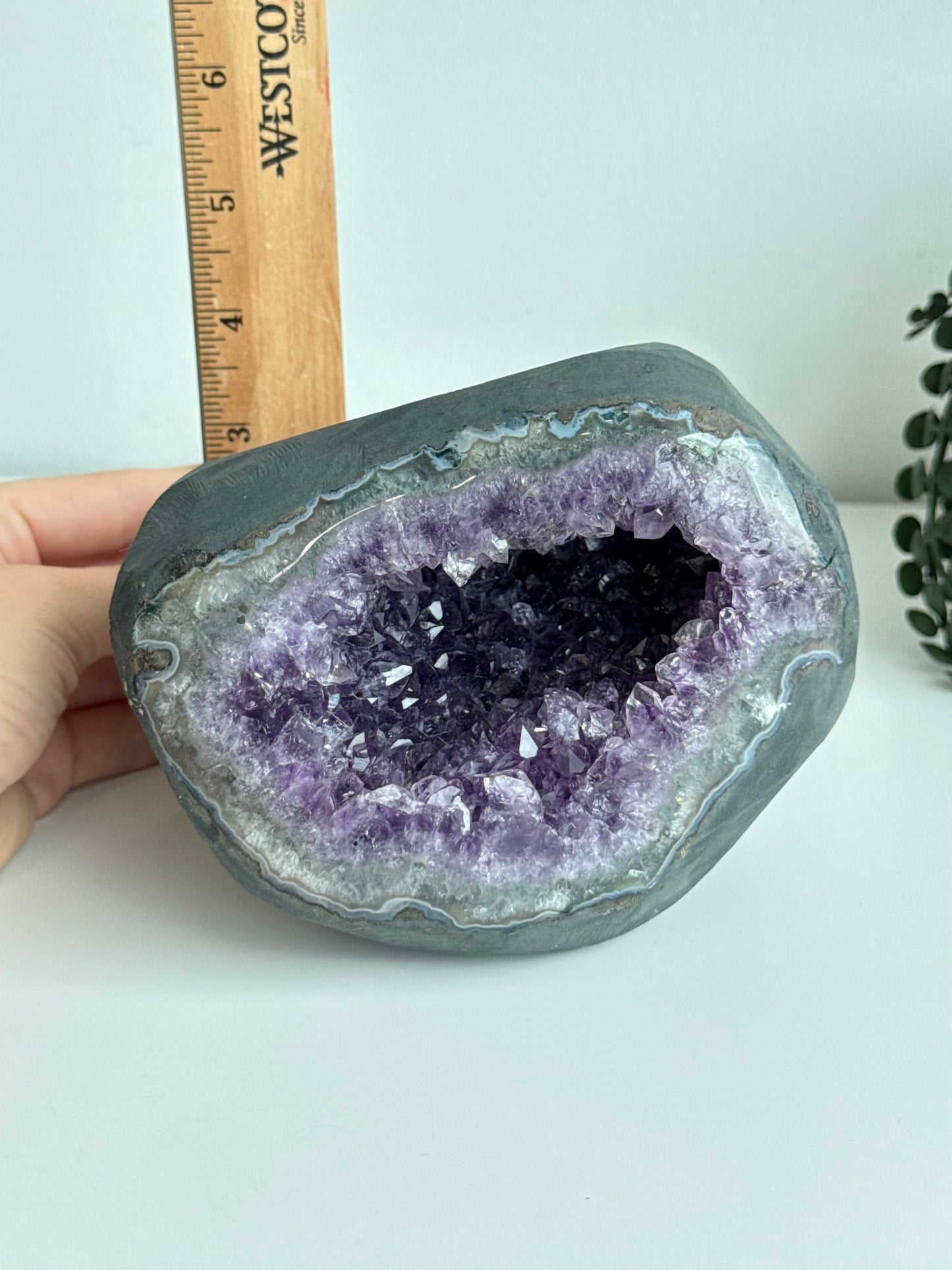Amethyst Geode - Uruguay