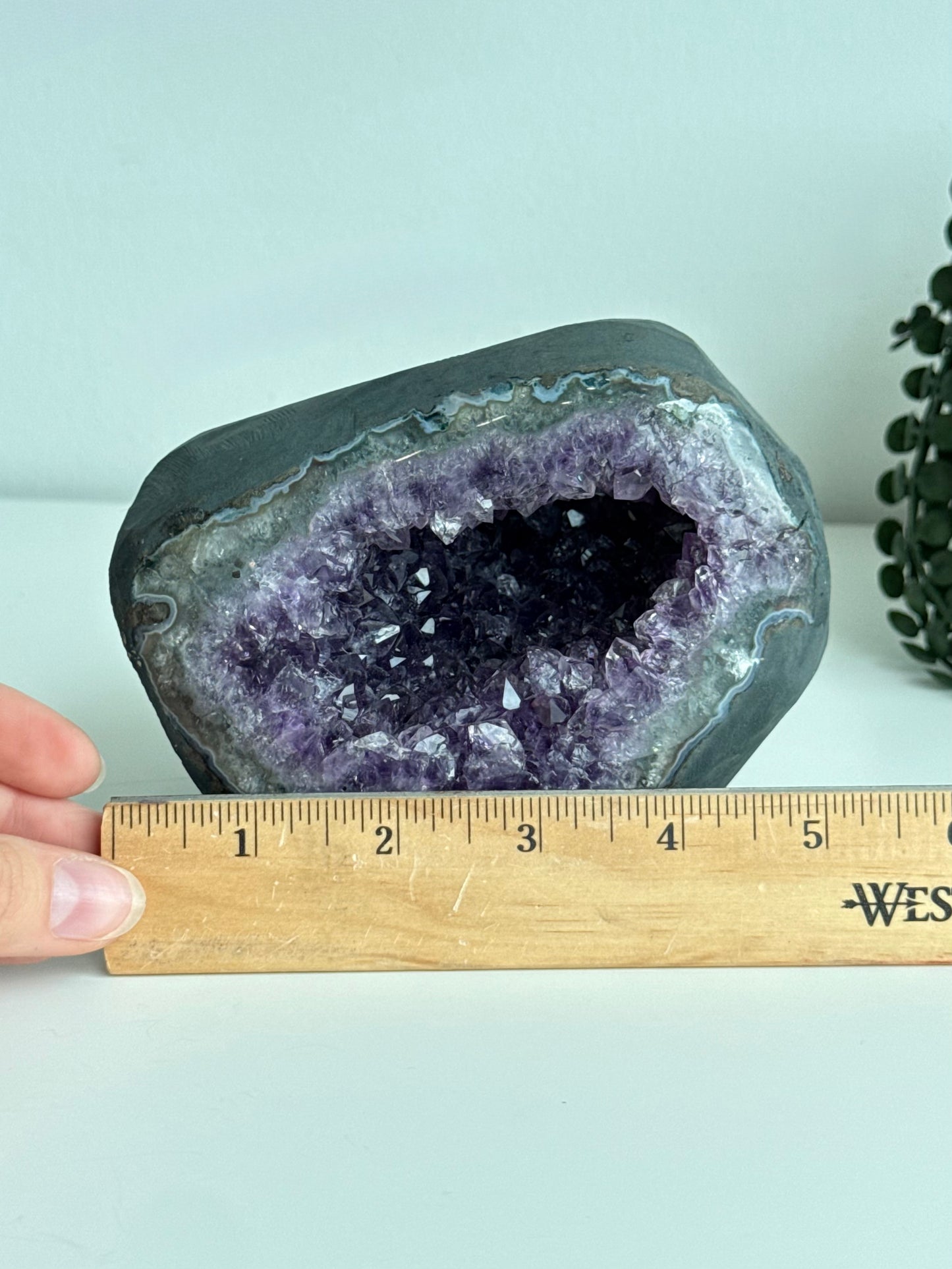 Amethyst Geode - Uruguay