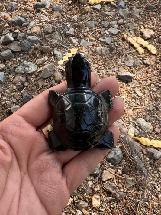 Tortuga Obsidiana