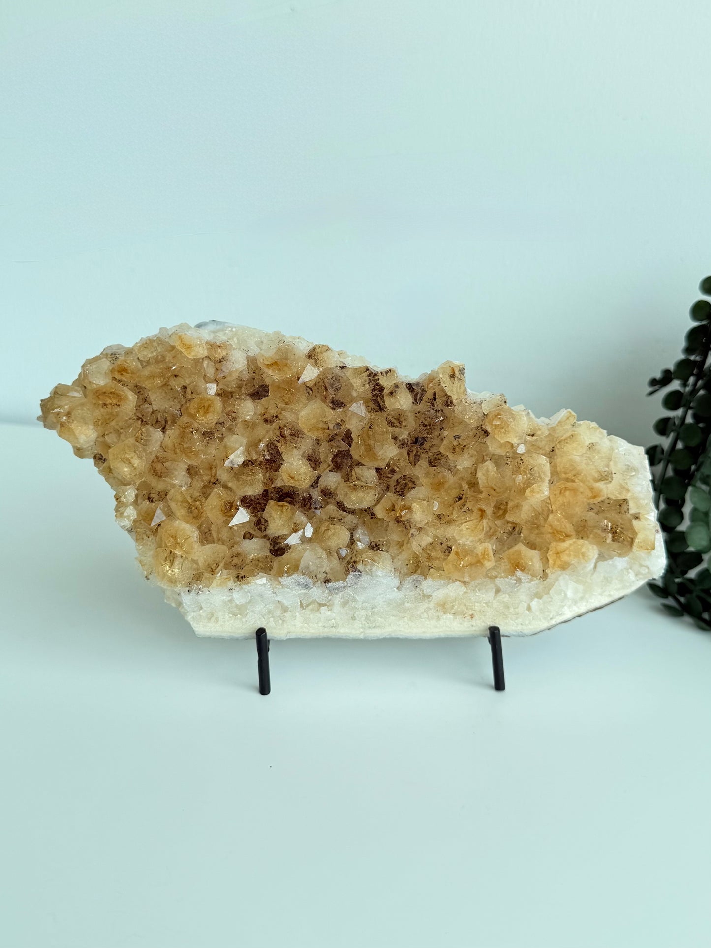 Citrine Cluster - Heat Treated