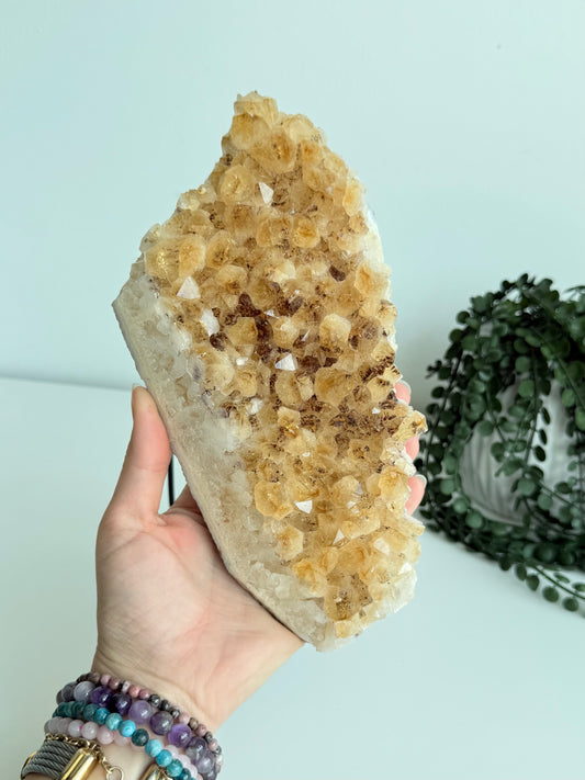 Citrine Cluster - Heat Treated