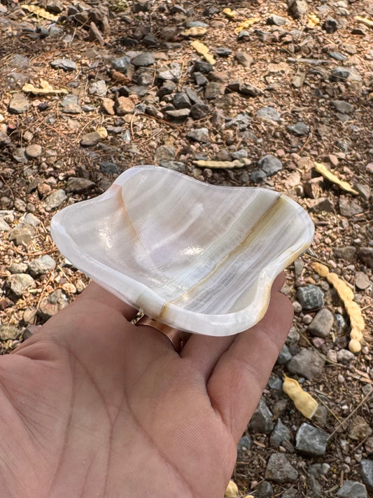 Bowl Zebra Aragonite
