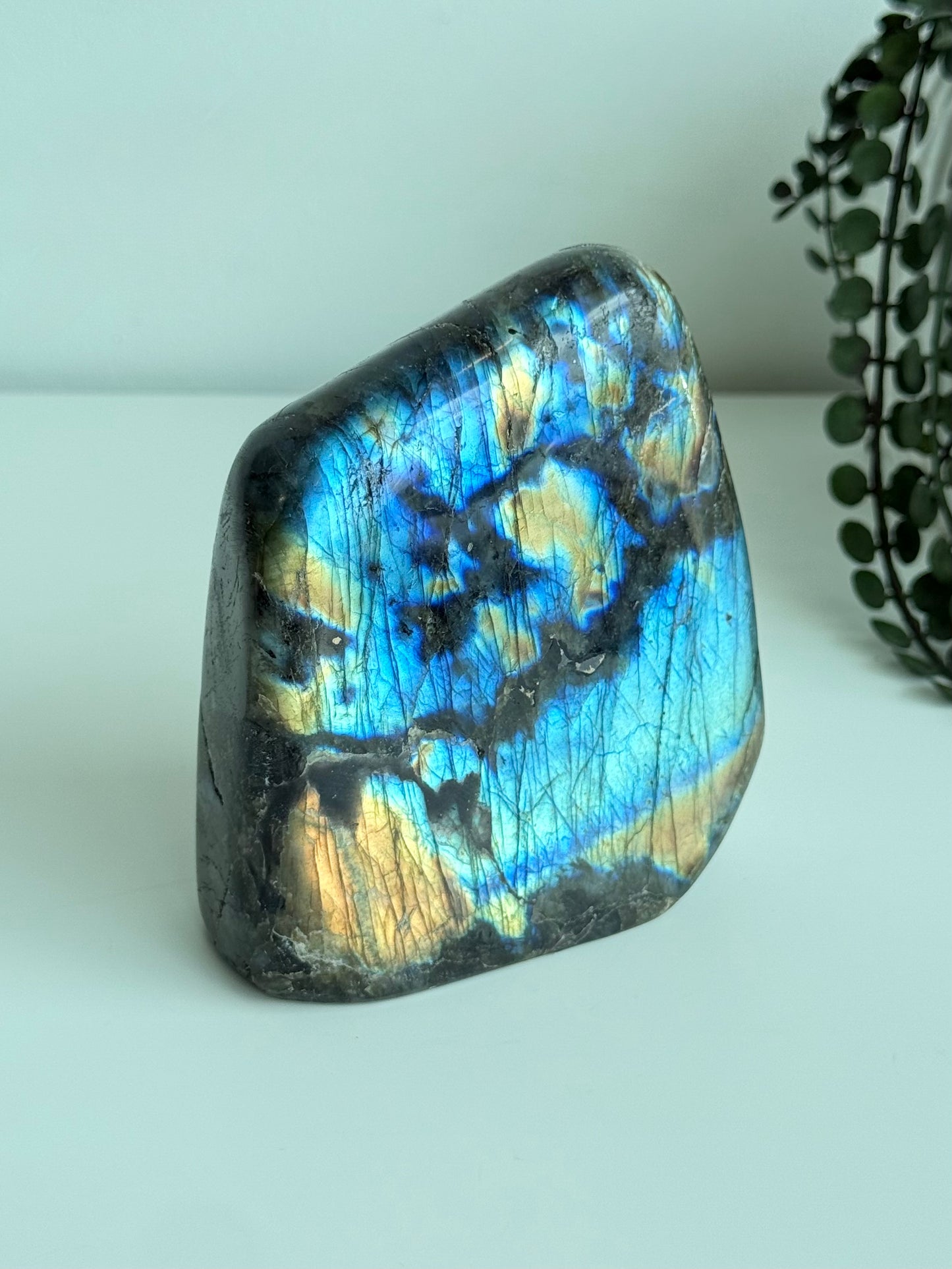 Labradorite - Madagascar