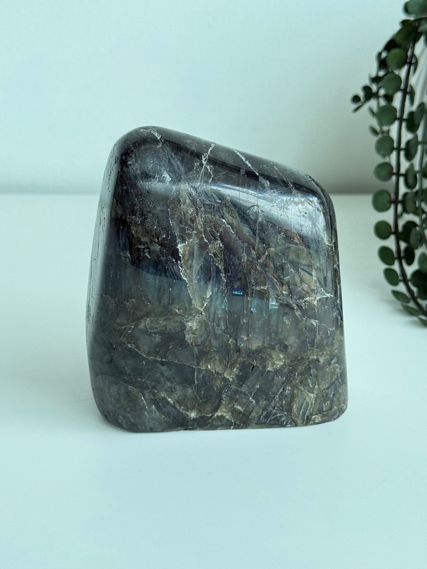 Labradorite - Madagascar