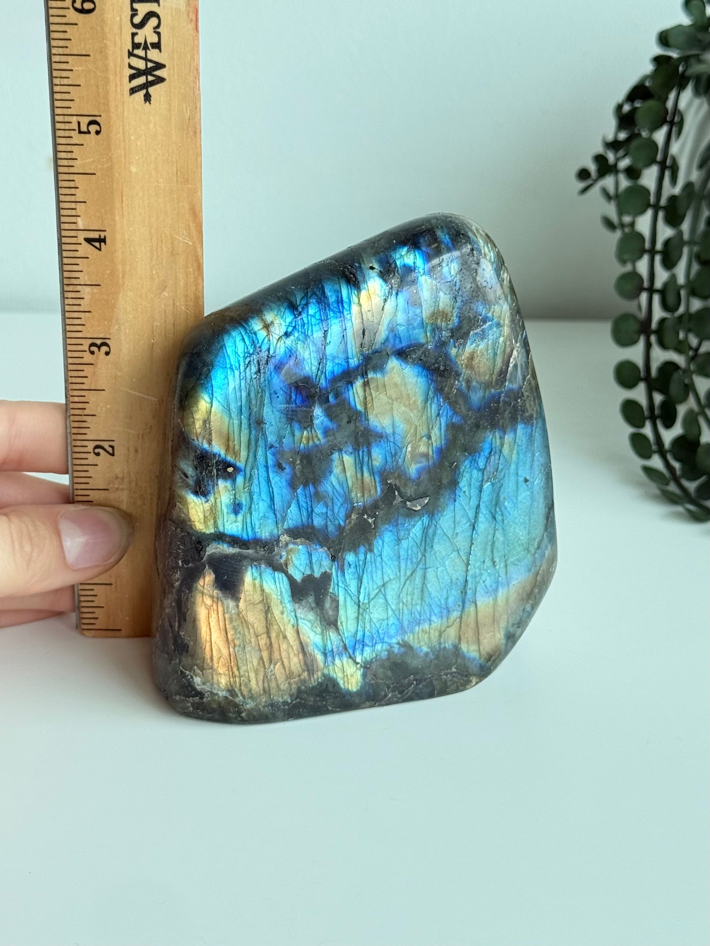 Labradorite - Madagascar