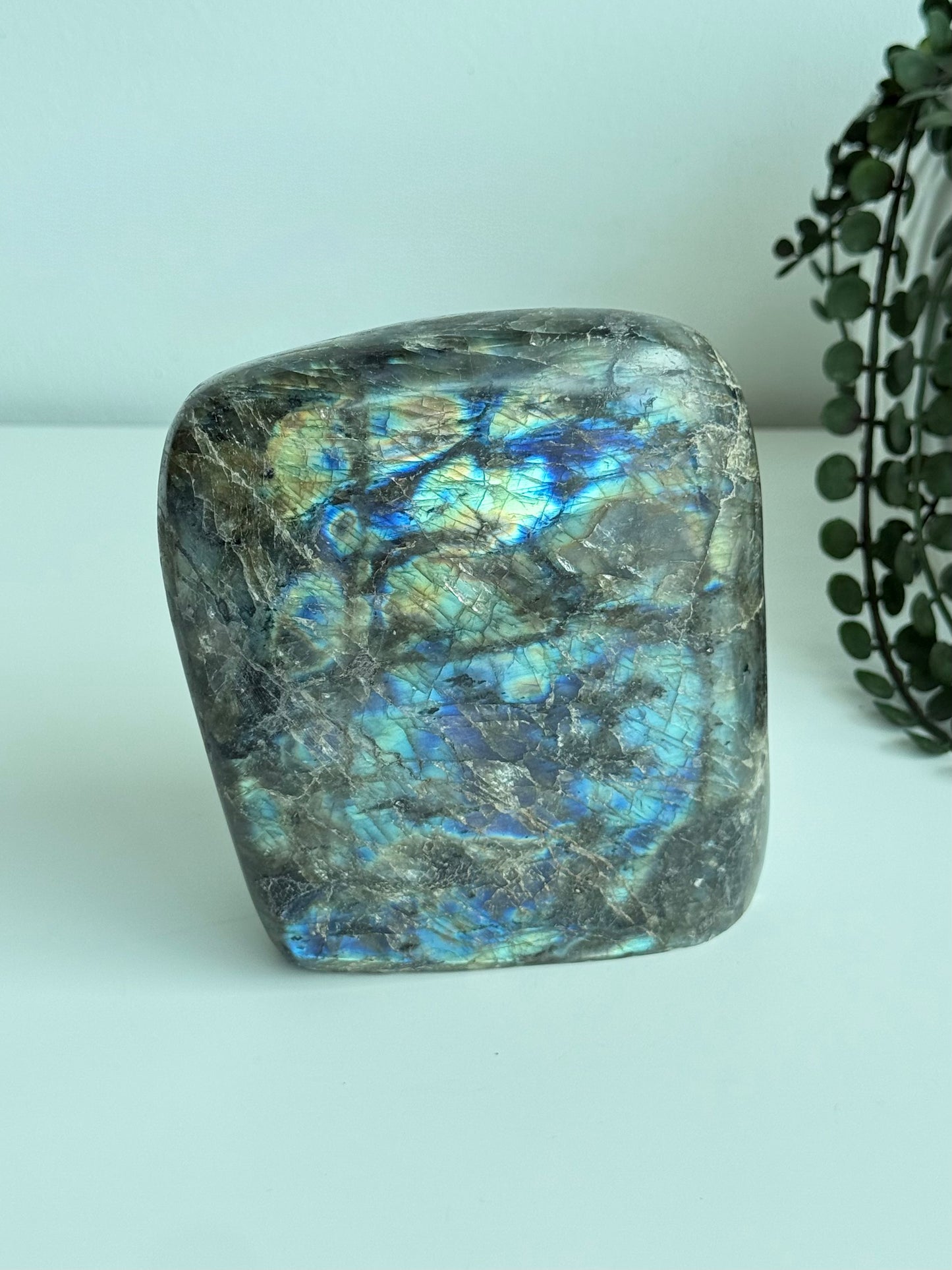 Labradorite - Madagascar